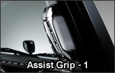 Assist Grip - 1