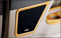 Luxury Speaker Grill : Rear